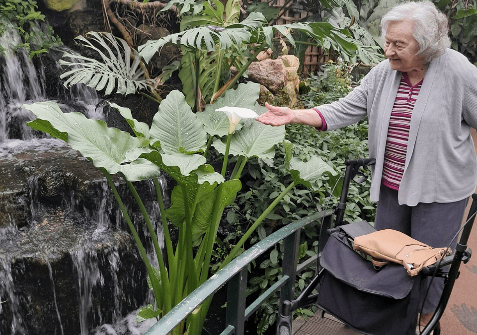 Trips Out Have Returned!